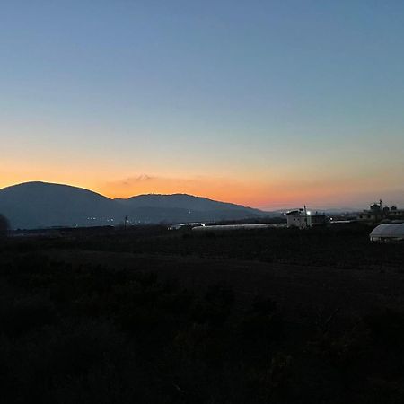 Harmony Villa Berat Buitenkant foto