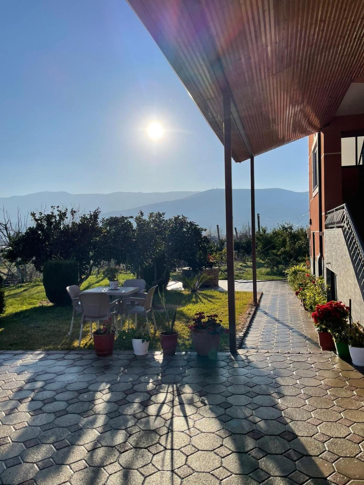 Harmony Villa Berat Buitenkant foto