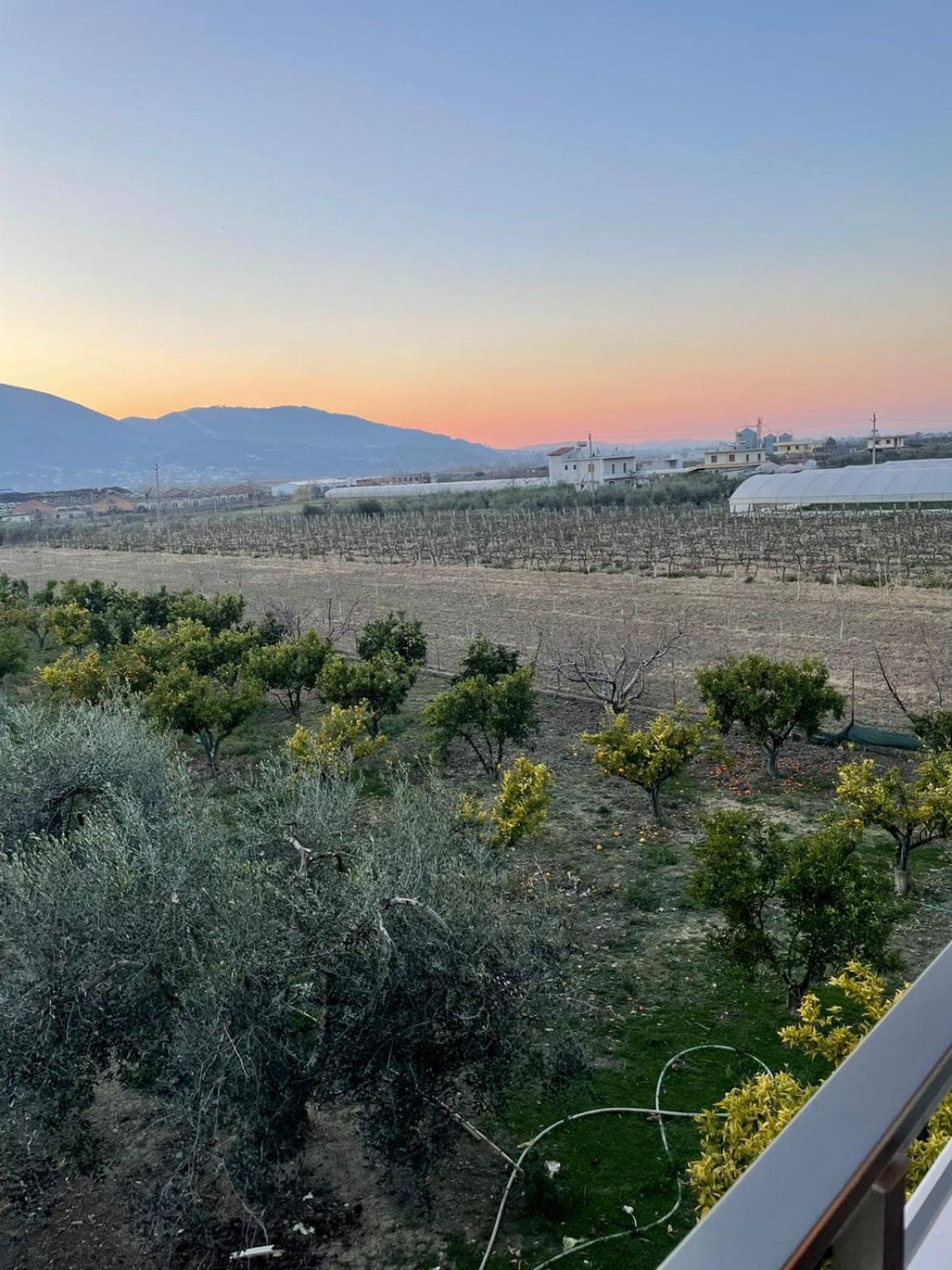 Harmony Villa Berat Buitenkant foto