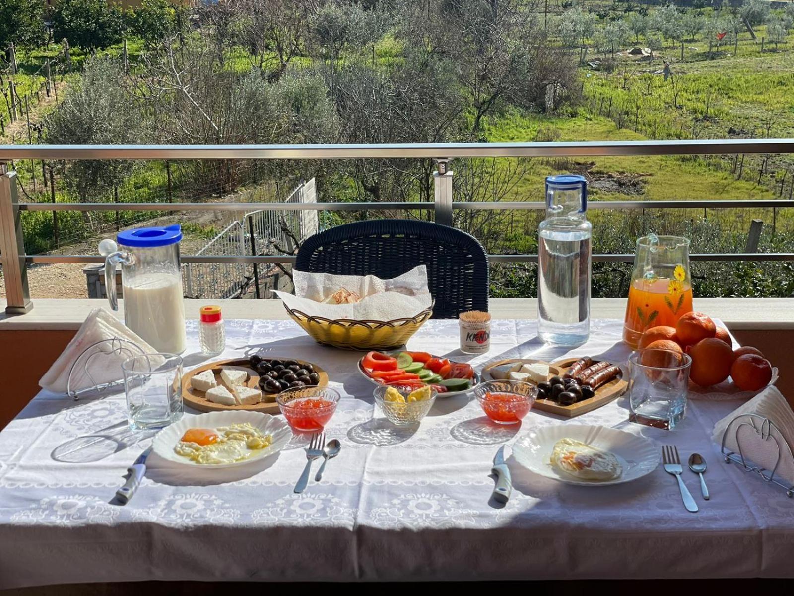 Harmony Villa Berat Buitenkant foto