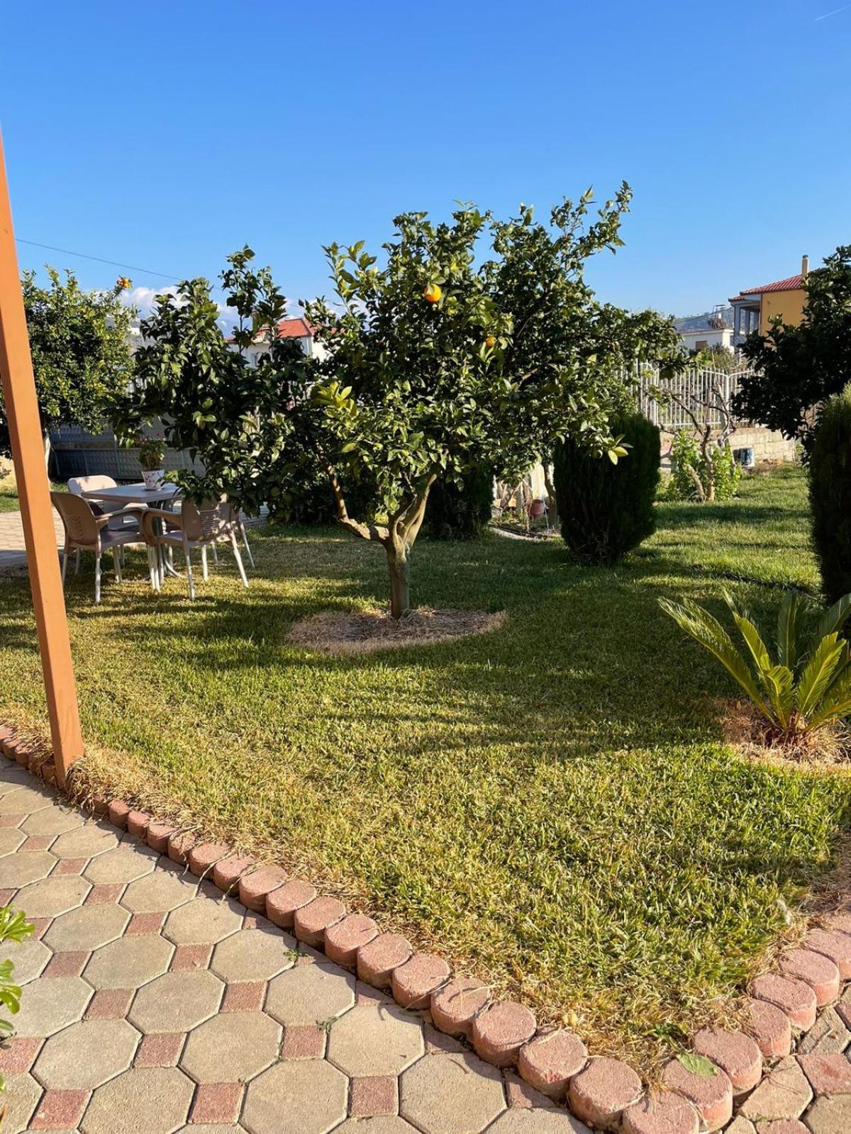 Harmony Villa Berat Buitenkant foto